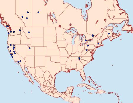 Distribution Data for Acleris maximana