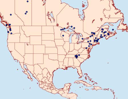 Distribution Data for Eulia ministrana