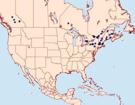 Distribution Data for Cnephasia stephensiana