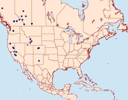 Distribution Data for Eana argentana