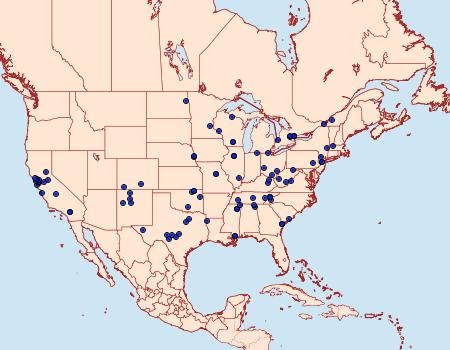 Distribution Data for Decodes basiplagana