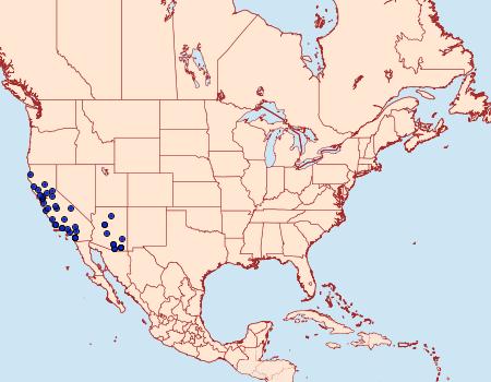 Distribution Data for Acrolophus laticapitana