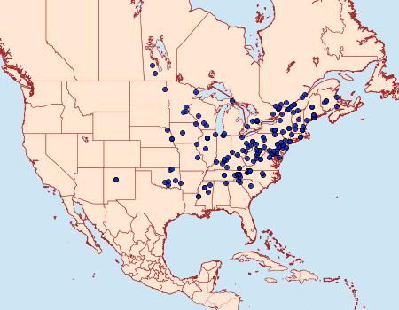 Distribution Data for Pandemis lamprosana