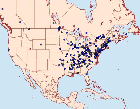 Distribution Data for Pandemis limitata