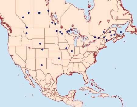 Distribution Data for Pandemis canadana