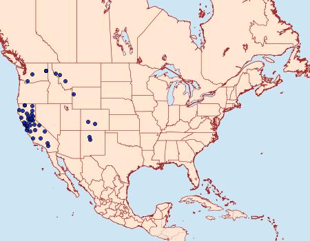 Distribution Data for Pandemis pyrusana