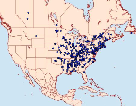 Distribution Data for Argyrotaenia velutinana