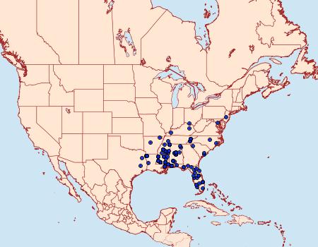 Distribution Data for Argyrotaenia floridana