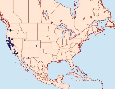 Distribution Data for Phymatopus hectoides