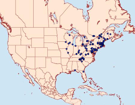 Distribution Data for Argyrotaenia pinatubana