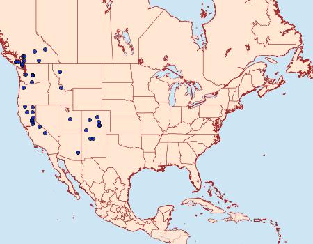 Distribution Data for Argyrotaenia dorsalana