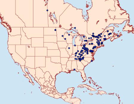 Distribution Data for Argyrotaenia mariana