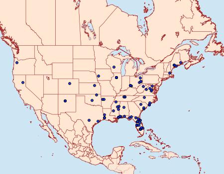 Distribution Data for Choristoneura obsoletana