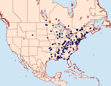 Distribution Data for Choristoneura fractivittana