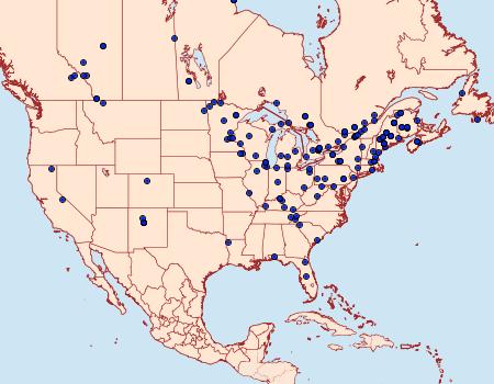 Distribution Data for Choristoneura fumiferana