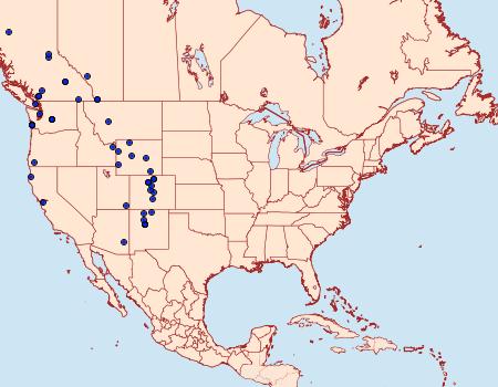 Distribution Data for Choristoneura occidentalis