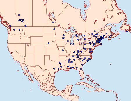 Distribution Data for Choristoneura pinus