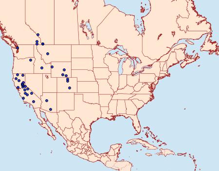 Distribution Data for Choristoneura lambertiana