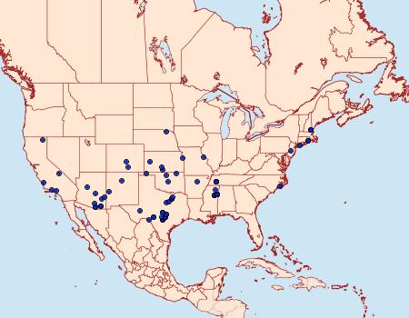 Distribution Data for Choristoneura houstonana