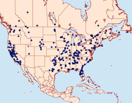 Distribution Data for Archips argyrospila