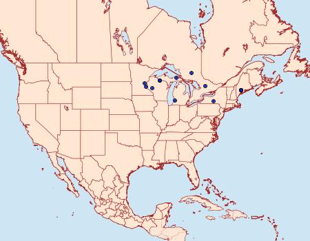 Distribution Data for Archips mortuana