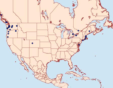 Distribution Data for Archips rosana