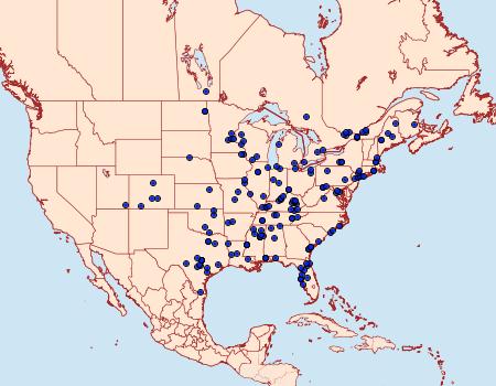 Distribution Data for Archips semiferanus