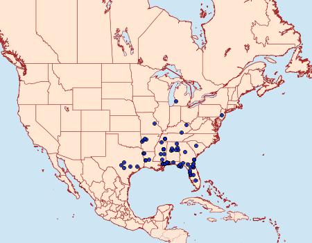 Distribution Data for Archips georgiana