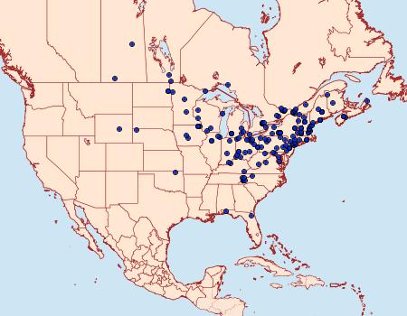 Distribution Data for Archips purpurana