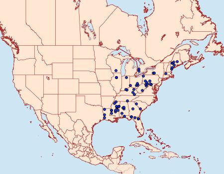 Distribution Data for Archips infumatana