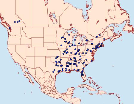 Distribution Data for Archips grisea