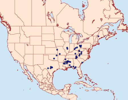 Distribution Data for Archips rileyana