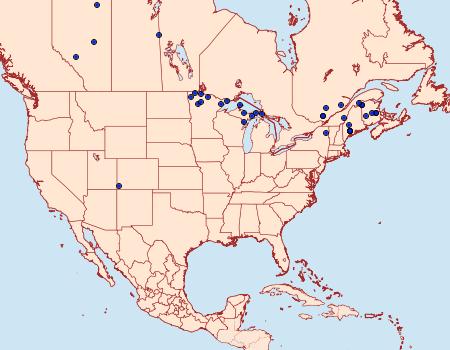 Distribution Data for Archips alberta