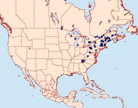 Distribution Data for Archips dissitana