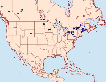 Distribution Data for Archips packardiana