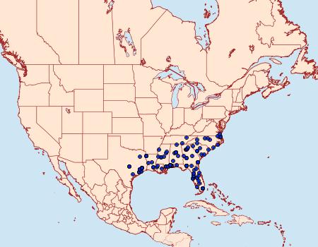 Distribution Data for Acrolophus mycetophagus