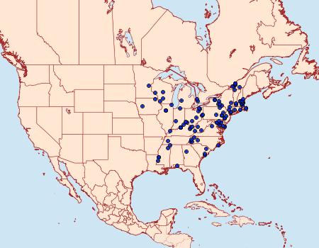 Distribution Data for Acrolophus mora