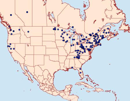 Distribution Data for Syndemis afflictana