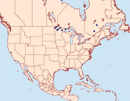 Distribution Data for Lozotaenia costinotana