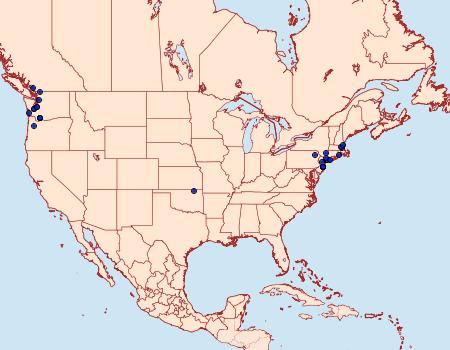 Distribution Data for Clepsis consimilana