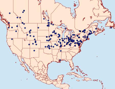 Distribution Data for Clepsis clemensiana