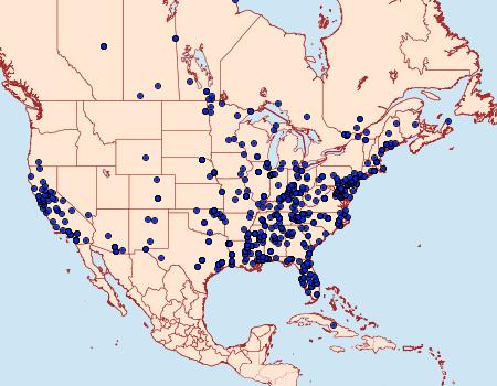 Distribution Data for Clepsis peritana