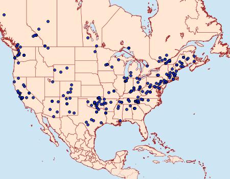 Distribution Data for Clepsis virescana