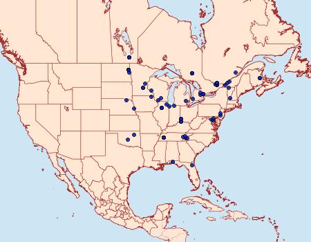 Distribution Data for Adoxophyes negundana