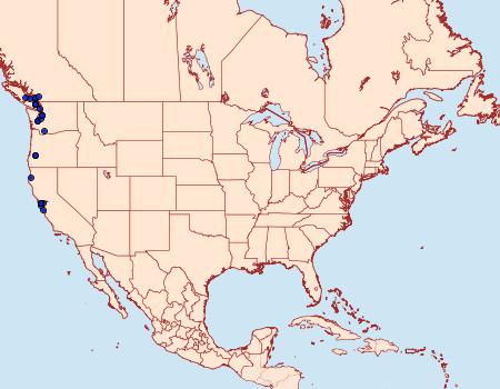 Distribution Data for Ditula angustiorana