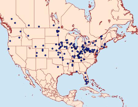 Distribution Data for Xenotemna pallorana