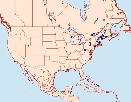 Distribution Data for Sparganothis lycopodiana