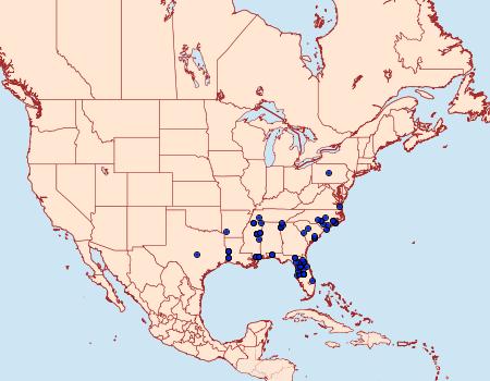 Distribution Data for Sparganothis bistriata