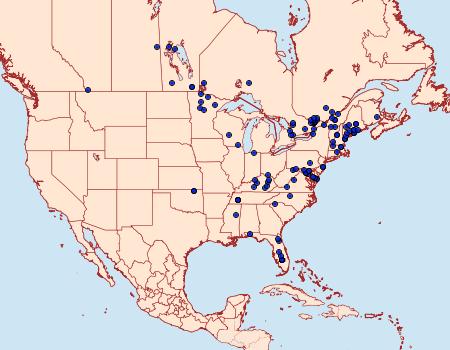 Distribution Data for Sparganothis tristriata