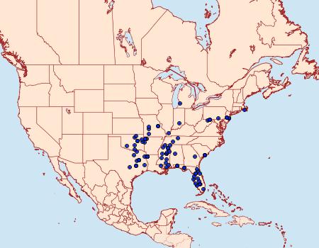 Distribution Data for Sparganothis caryae